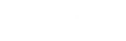 Professionally audited by ContractWolf